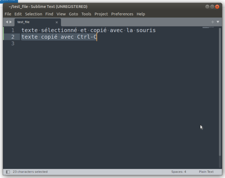 Le Copier / Coller et le pressepapier sous Linux Le blog de PierreYves